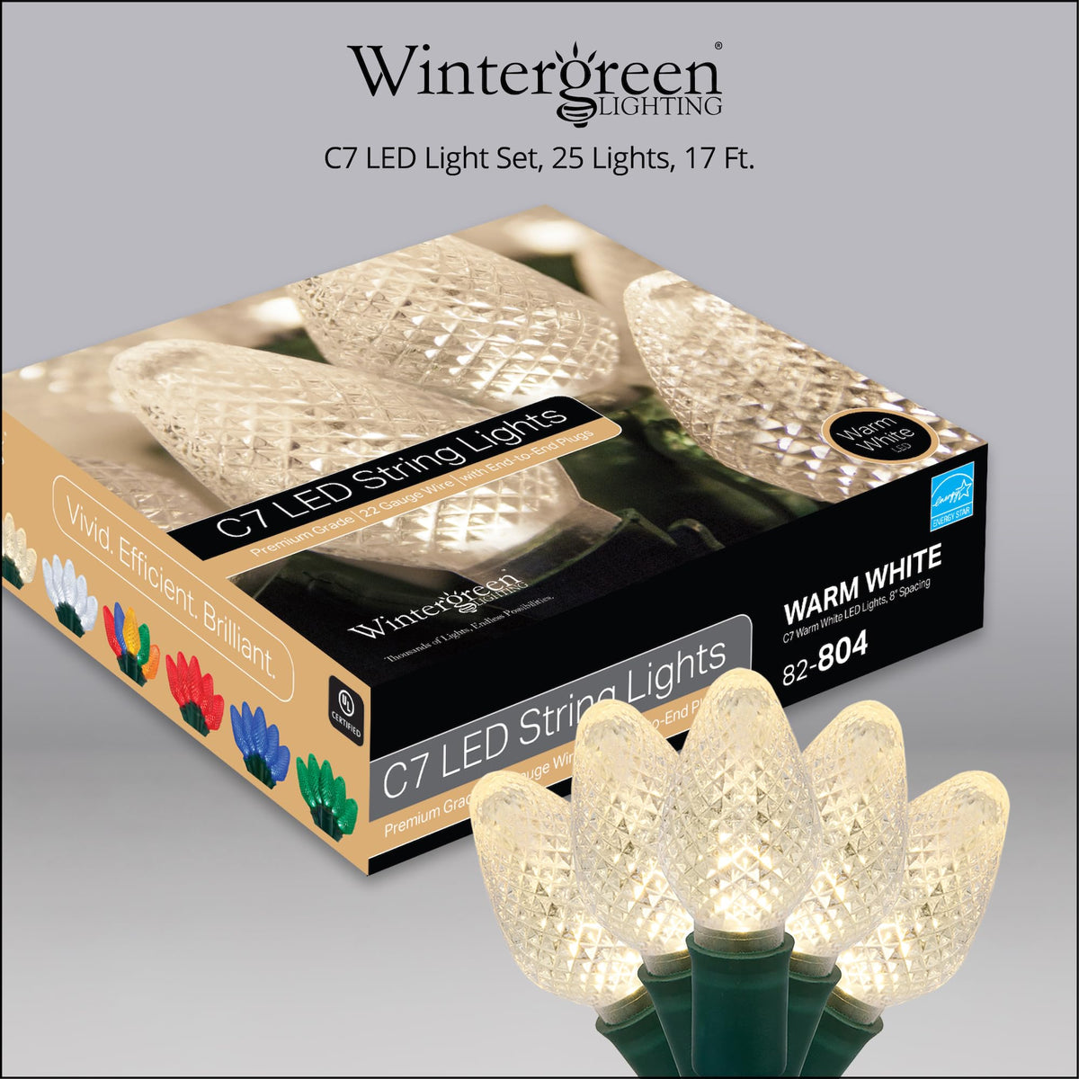 Blue C9 LED Christmas Light Set, 25 Bulbs