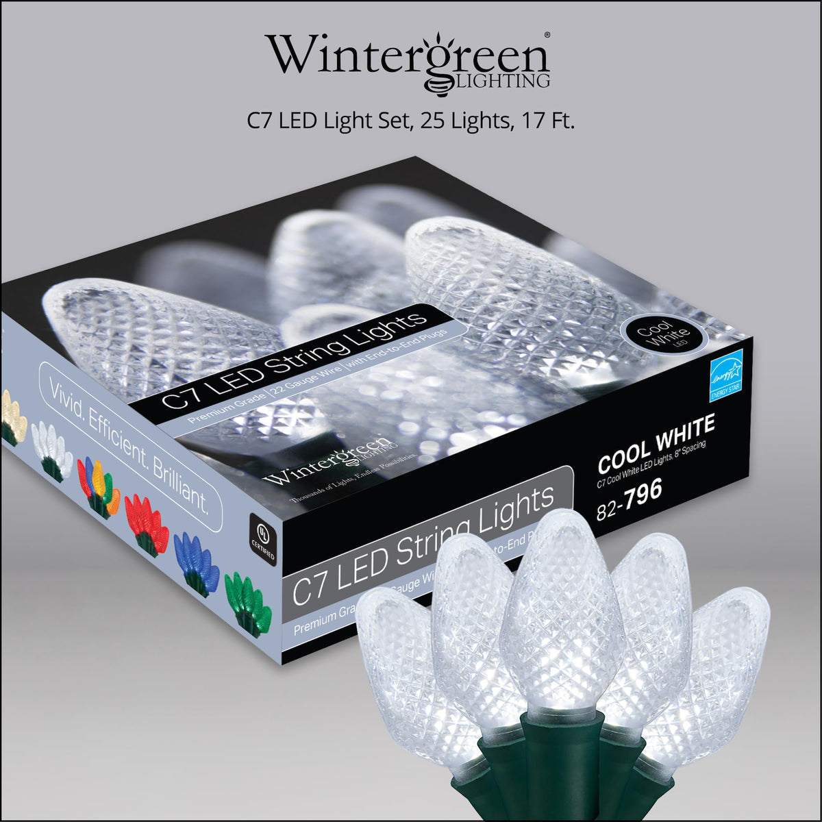 Blue C9 LED Christmas Light Set, 25 Bulbs
