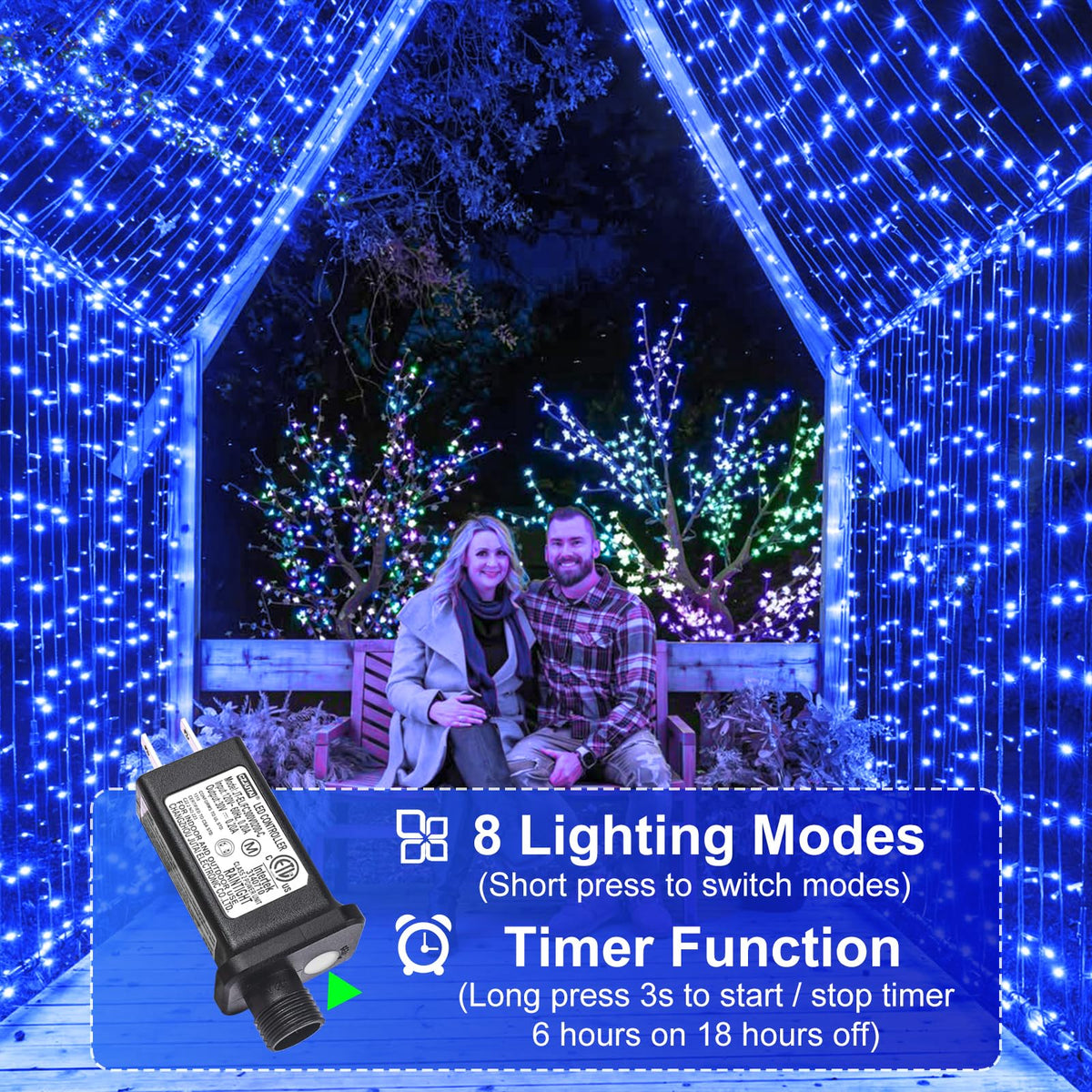 Blue and White Christmas Lights, 100 ft