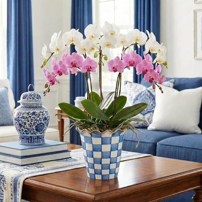 Blue and White Checkered Ceramic Planter, 6 Inch