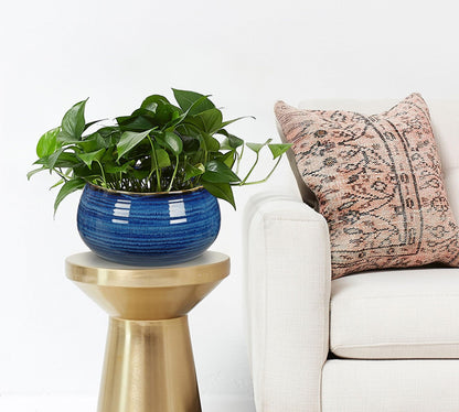 Blue and White Chinoiserie Bowl Planter, 9 Inch