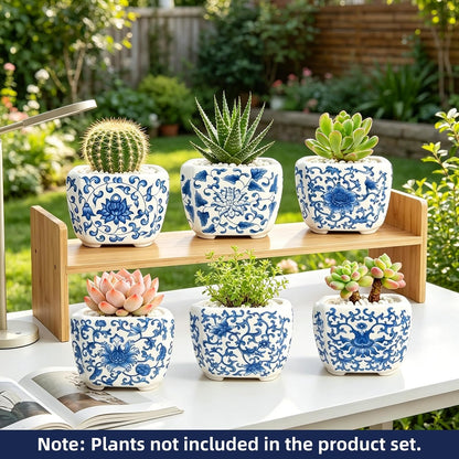 Blue and White Succulent Planters, Set of 6