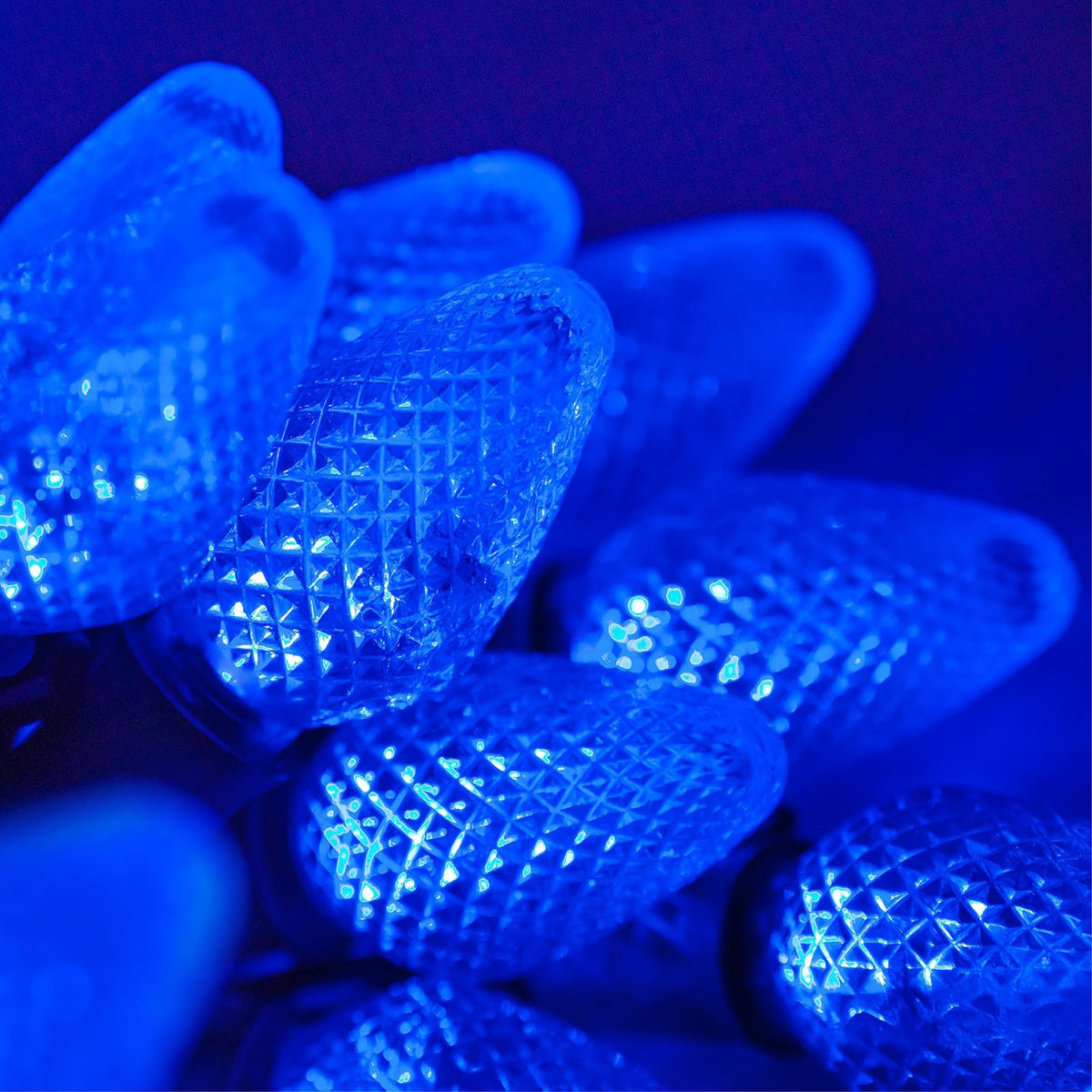 Blue C9 LED Christmas Light Set, 25 Bulbs