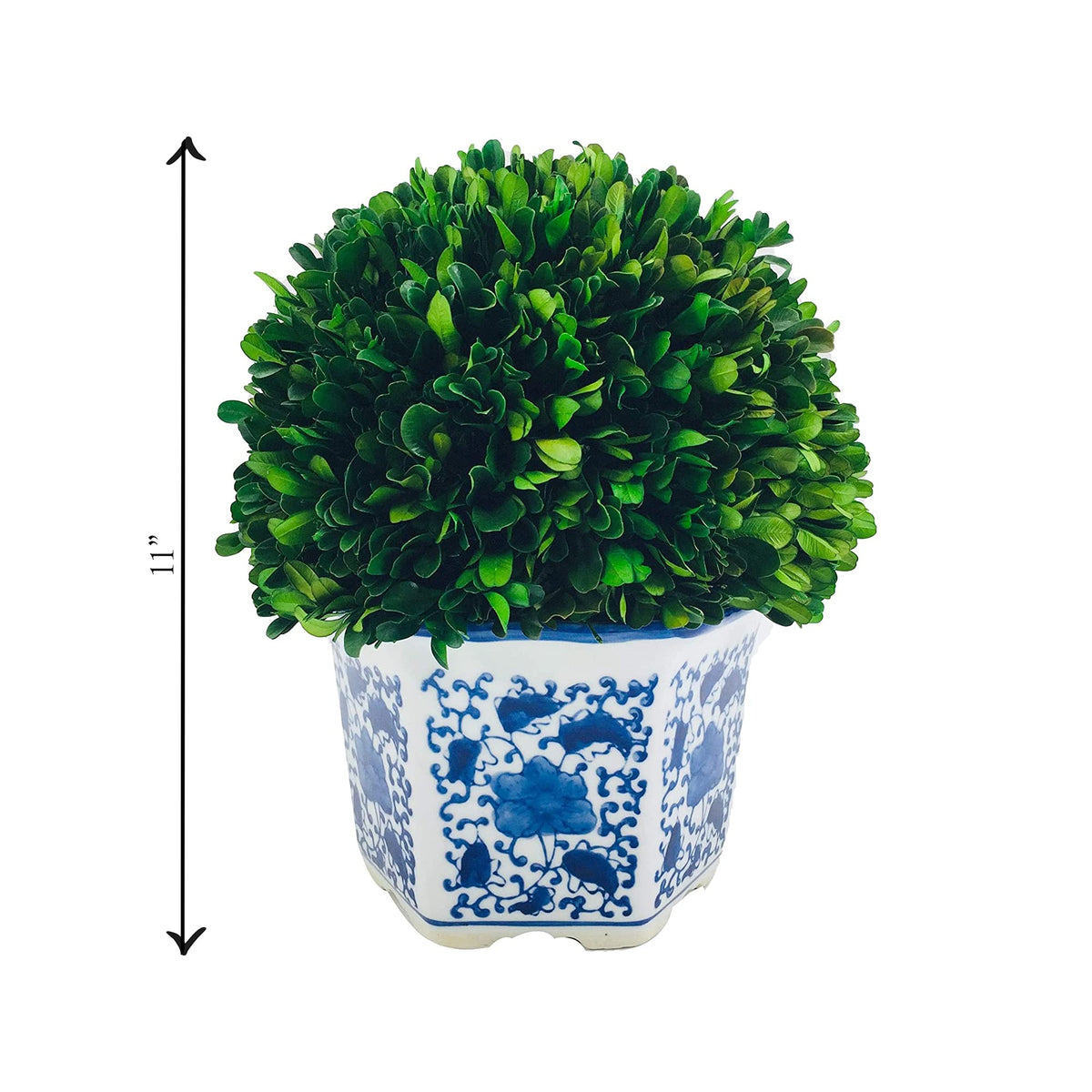 Preserved Boxwood Ball in Blue and White Pot