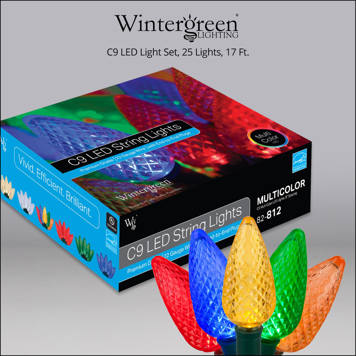 Blue C9 LED Christmas Light Set, 25 Bulbs