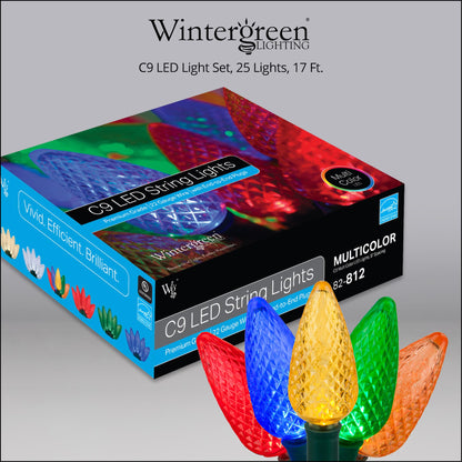 Blue C9 LED Christmas Light Set, 25 Bulbs