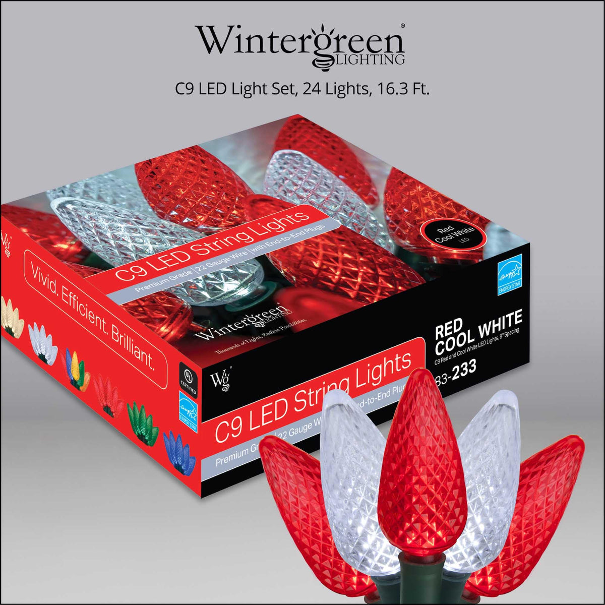 Blue C9 LED Christmas Light Set, 25 Bulbs