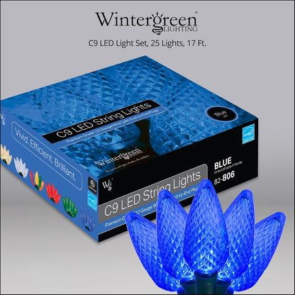 Blue C9 LED Christmas Light Set, 25 Bulbs