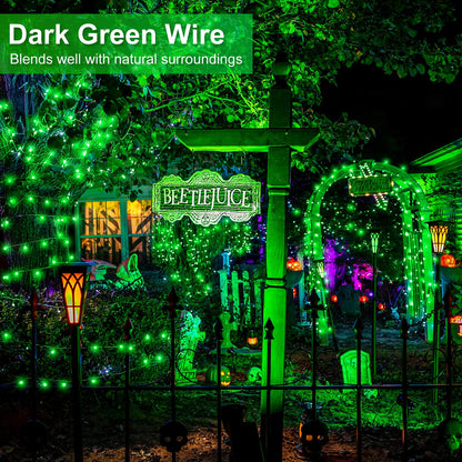 Blue and White Christmas Lights, 100 ft