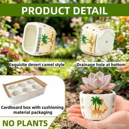 Blue and White Succulent Planters, Set of 6