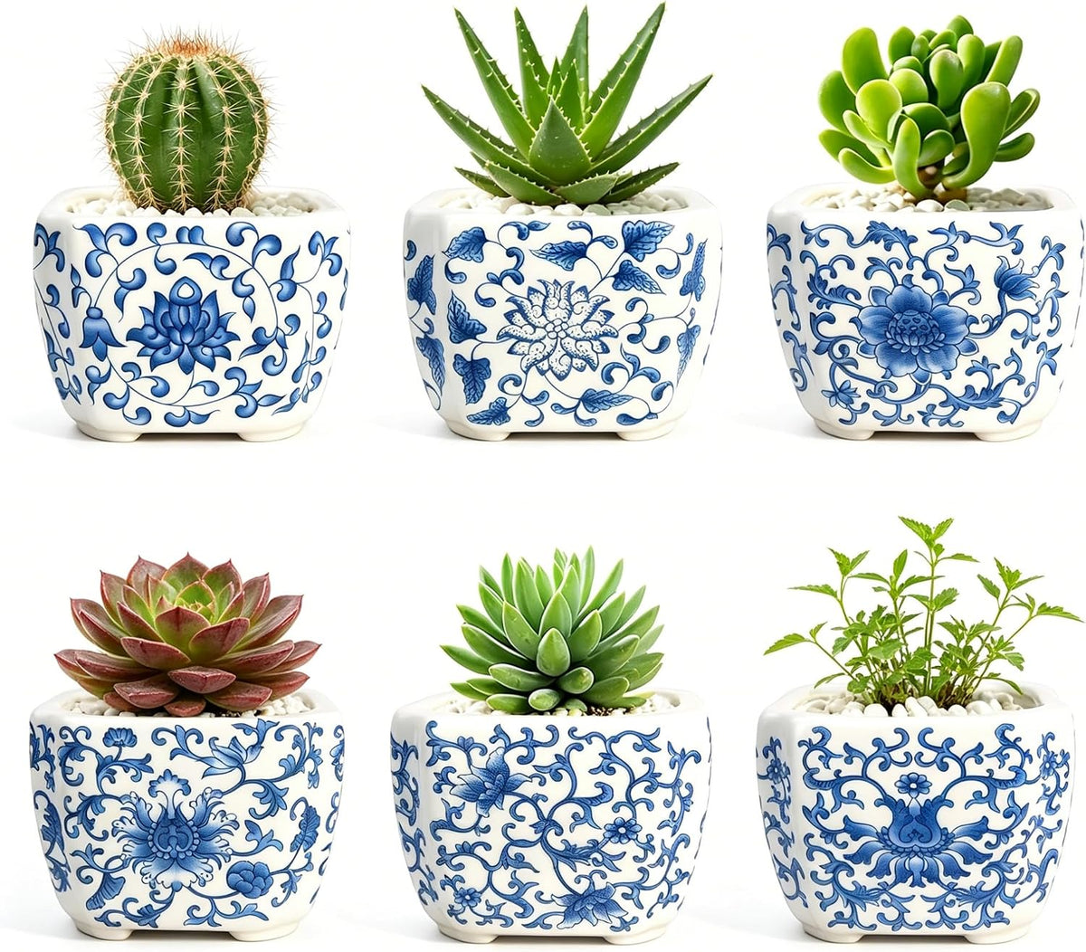 Blue and White Succulent Planters, Set of 6