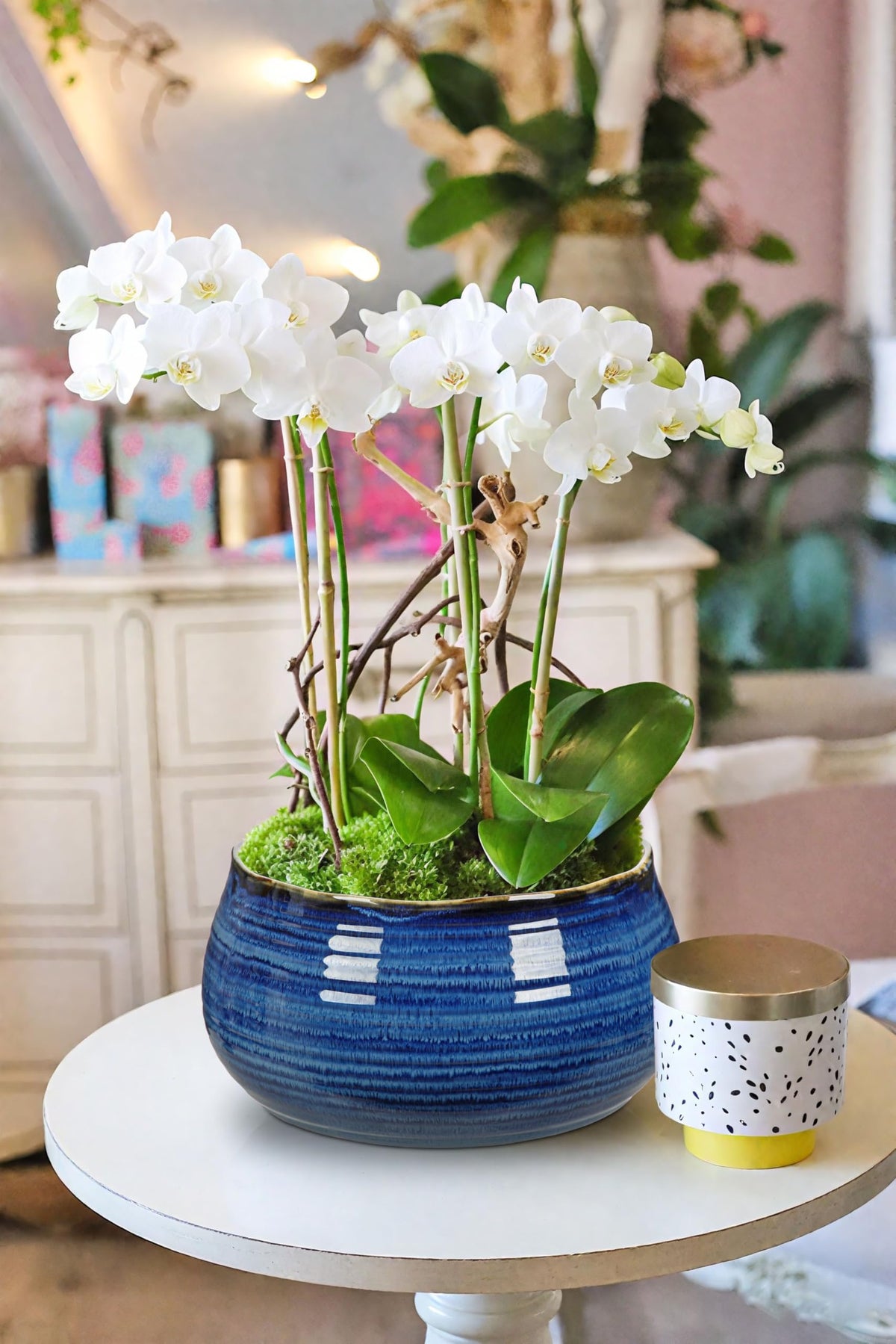 Blue and White Chinoiserie Bowl Planter, 9 Inch