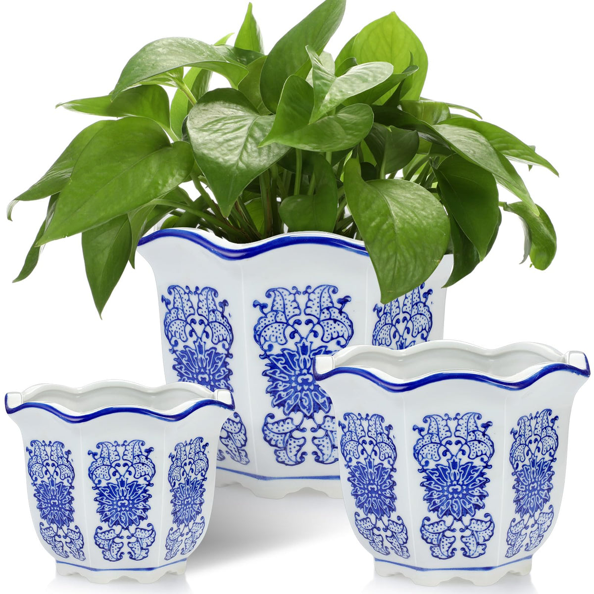 Blue and White Chinoiserie Planters with Saucers, Set of 3