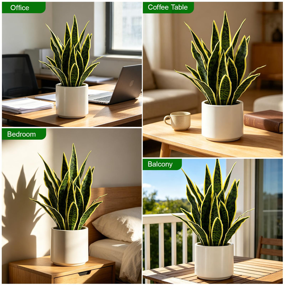 Faux White Orchid in Pot, 23 Inch