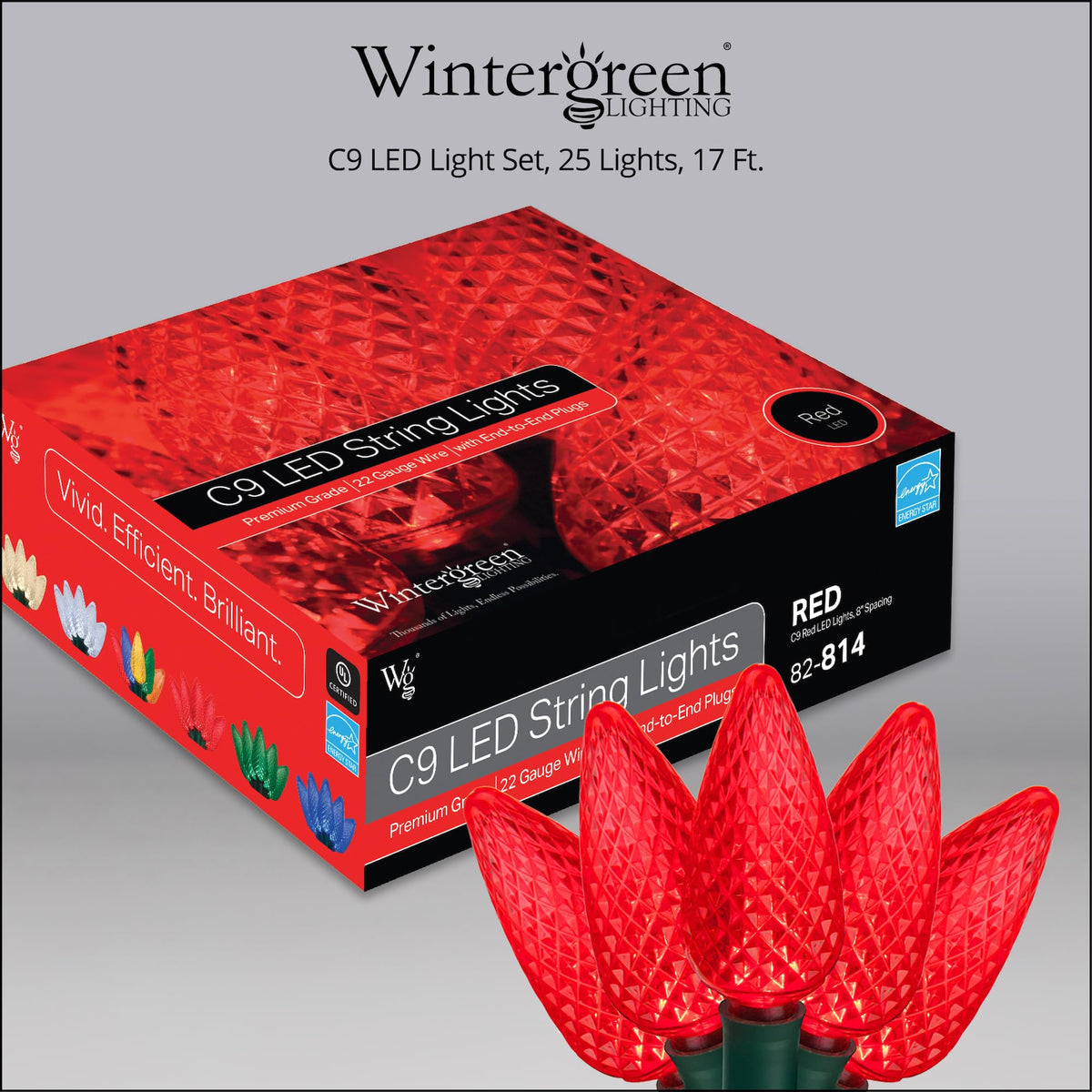 Blue C9 LED Christmas Light Set, 25 Bulbs