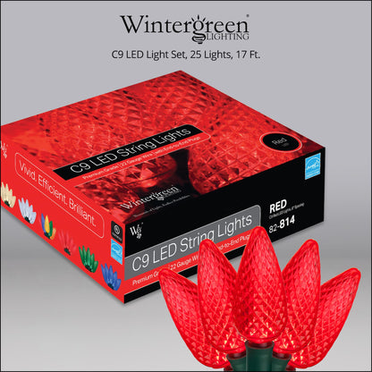 Blue C9 LED Christmas Light Set, 25 Bulbs
