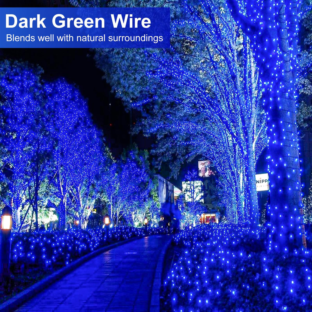 Blue and White Christmas Lights, 100 ft