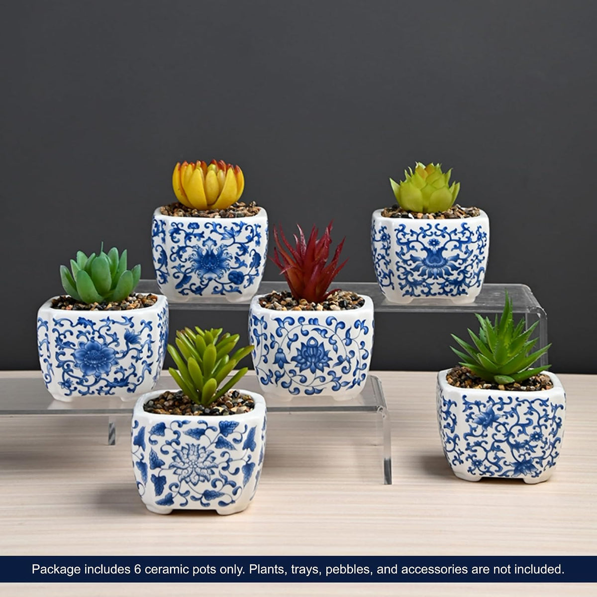 Blue and White Succulent Planters, Set of 6