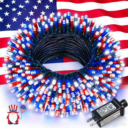 Blue and White Christmas Lights, 100 ft