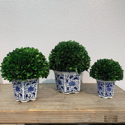 Preserved Boxwood Ball in Blue and White Pot